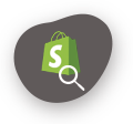 Shopify SEO